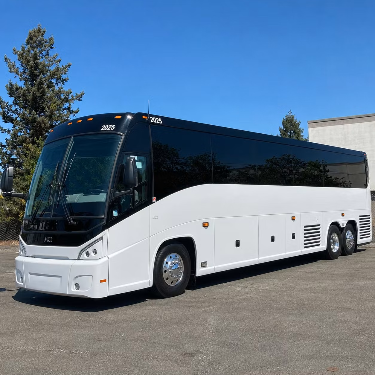bellevue school groups and university teams can ride in comfort on long trips